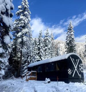 The Ski Haus A Montana Tiny Cabin Forest Retreat - Lakeside - 1