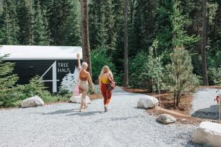 The Tree Haus A Montana Tiny Cabin Forest Retreat - 9