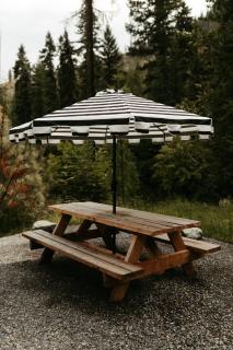 The Fish Haus A Montana Tiny Cabin Forest Retreat - Lakeside - 8