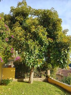 Antica Corte - Massa - 6