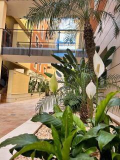 Jardines de Denia 24 - Denia - 7