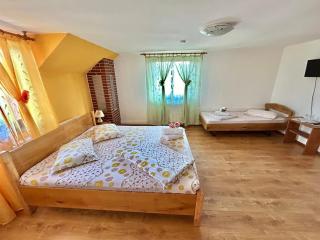 Pensiunea Casa Nina - Cîrţişoara - 9