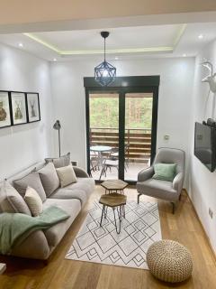 Apartment Pino Bianco 2 - Vila Peković - Zlatibor - 8