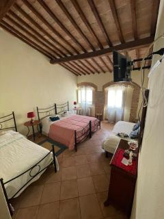 LA STREGA UBRIACA - Colle di Val d'Elsa - 1