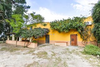 MAS DE BERNIS - Sequer - 6