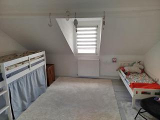 Coccinelle - Montataire - 8