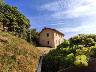 Sul Collagù - Farra di Soligo - 4