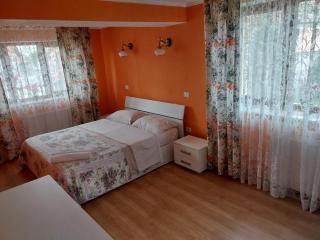 Serena House - Cîrţişoara - 9