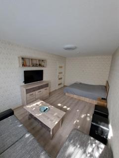 TMG Bright Apartment - Klaipėda - 6