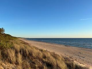 Draugų namai - Palanga - 1