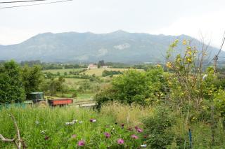 La casina de Tomás - Colunga - 4