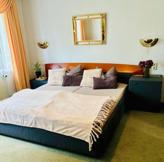 Themenhotel Rehlein - Thale - 8