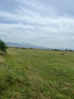 Room Villa gate parking - 2