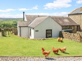 Dale View Cottage - Hexham - 0