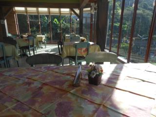 Hotel Viejo Molino Coroico - 2