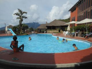 Hotel Viejo Molino Coroico - Coroico - 1