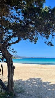 LE TERRAZZE Porto Rotondo - Porto Rotondo - 7