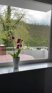 Neue Luxuriöse 3 Zimmer Wohnung mit toller Aussicht - Bad Ems - 4