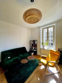 Charmant appart proche Stanislas - Nancy - 8