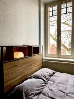 Charmant appart proche Stanislas - Nancy - 7