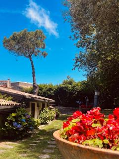 villa Il Gelsomino - Termini - 3