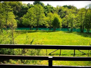 River Rose - Gornji Zvečaj - 5