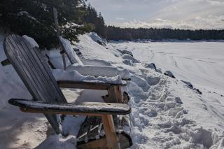 Cozy Lakefront Cabin - Ronald - 7
