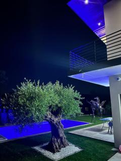 Villa Marina - LʼIsle-Adam - 4