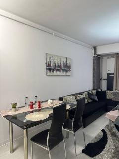 SBZ Airport Apartment - Sibiu - 1