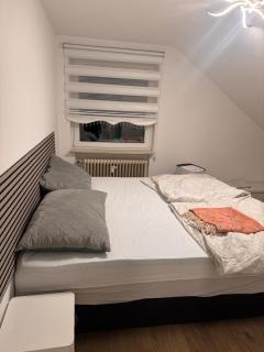Am Auepark - Kassel - 6