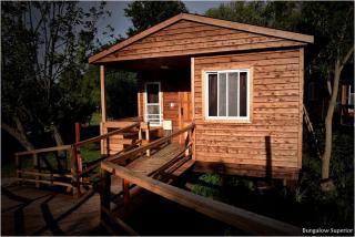 Cabañas Faro Delta - 9