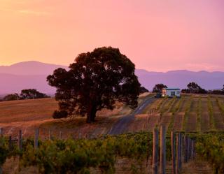 Hounds Run Vineyard - Tiny House in the Grampians - Great Western - 0