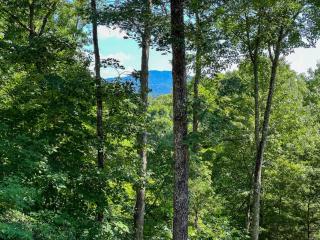 Peaceful Secluded Cabin, ASKA - Blue Ridge - 6