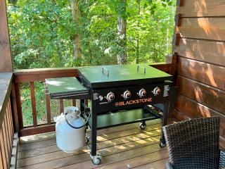 Peaceful Secluded Cabin, ASKA - Blue Ridge - 4