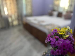 Jan Mahal - Srinagar - 8