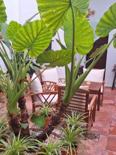 Hostal Gran Capitan - Chipiona - 2