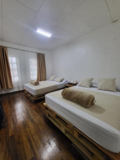 BnB Ecostay - San José - 3