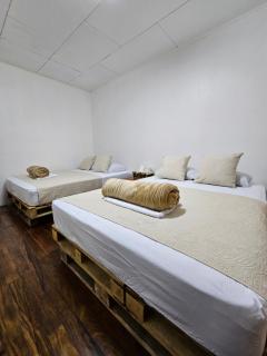 BnB Ecostay - San José - 1