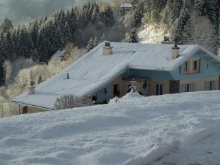 Charmant gîte avec terrasse, WiFi et garage moto à Gérardmer - FR-1-589-133 - Gérardmer - 5