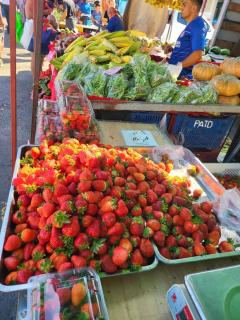 BnB Ecostay - San José - 5