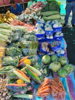 BnB Ecostay - San José - 4