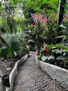 Lodge Cacao - 5