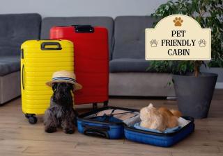 Fabulous Pet-Friendly, Family Cabin with Outdoor Kitchen, Hot Tub, Sauna, Fireplace, Theater Room, Arcade, Pool Table, and Fire Pit within minuties of Dollywood - 8