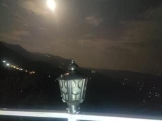 Nature height - Nainital - 8