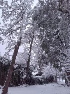 La casita del bosque - Bariloche - 5