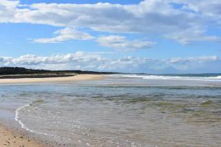 Selbourne by the Sea in Scamander - Scamander - 5