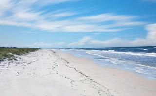 The Sandy Pineapple - Coastal Home STEPS to Beach Pet & Family Friendly! - Saint Joe Beach - 9