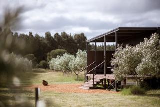 Cate the Tiny Cabin in Esperance - Esperance - 7
