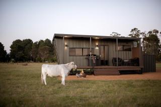 Michael the Tiny Cabin in Esperance - - 3