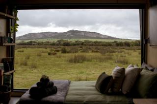 Michael the Tiny Cabin in Esperance - - 9